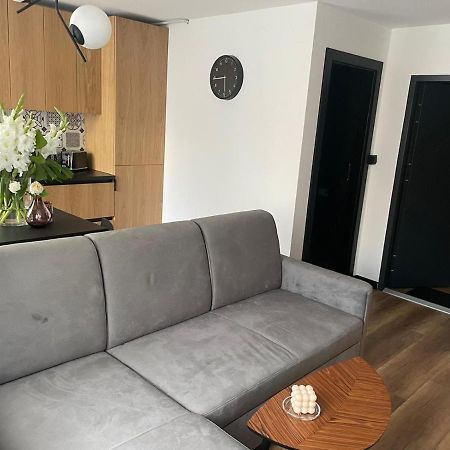 Apartamenty Nadrzeczna 14 Karpacz Ngoại thất bức ảnh
