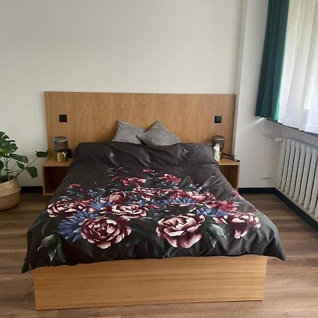 Apartamenty Nadrzeczna 14 Karpacz Ngoại thất bức ảnh
