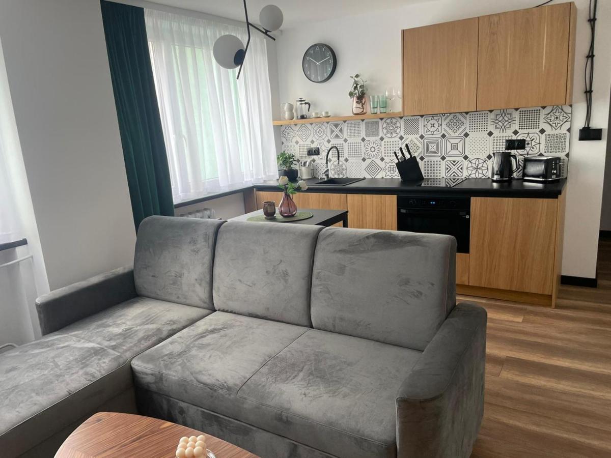Apartamenty Nadrzeczna 14 Karpacz Ngoại thất bức ảnh