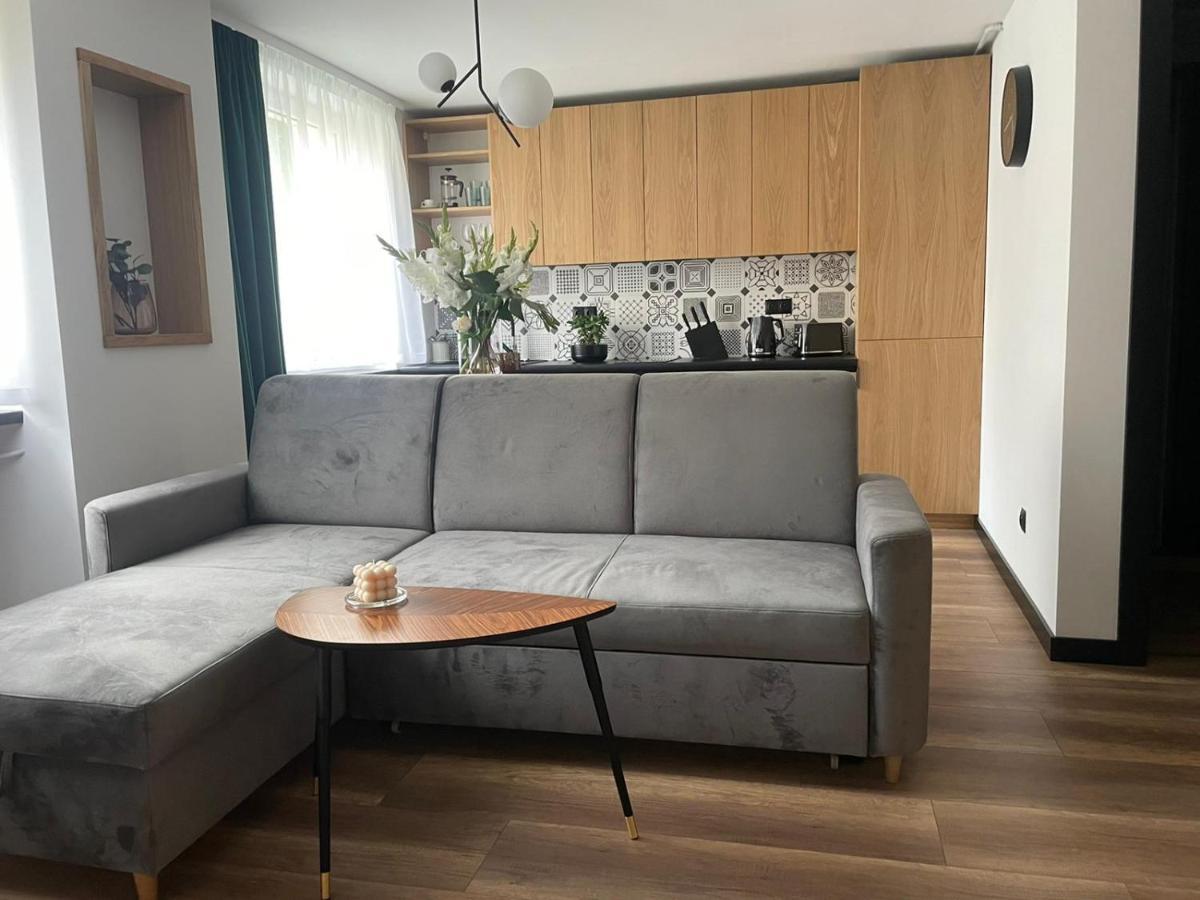 Apartamenty Nadrzeczna 14 Karpacz Ngoại thất bức ảnh